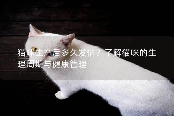 猫咪生产后多久发情？了解猫咪的生理周期与健康管理
