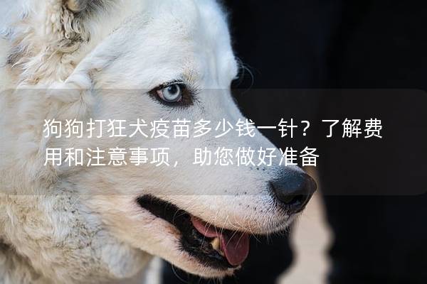 狗狗打狂犬疫苗多少钱一针？了解费用和注意事项，助您做好准备