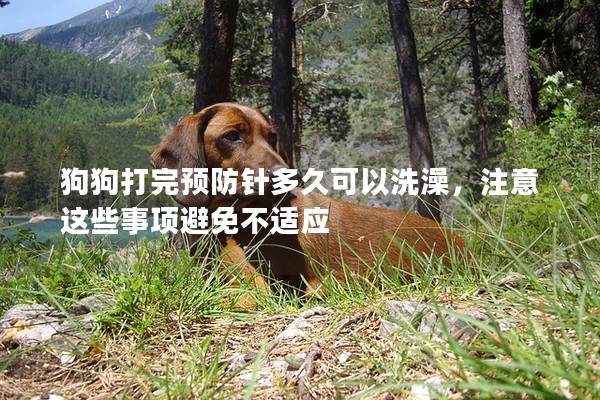 狗狗打完预防针多久可以洗澡，注意这些事项避免不适应