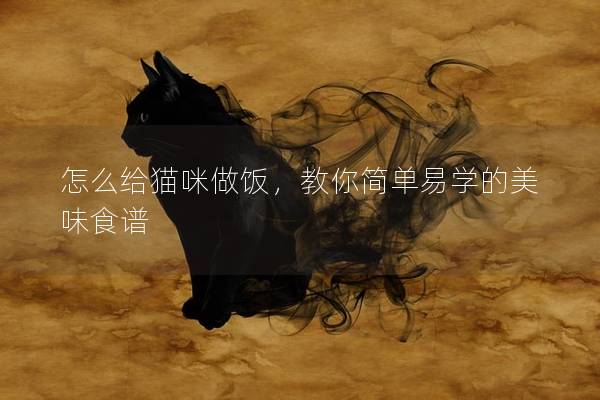 怎么给猫咪做饭，教你简单易学的美味食谱