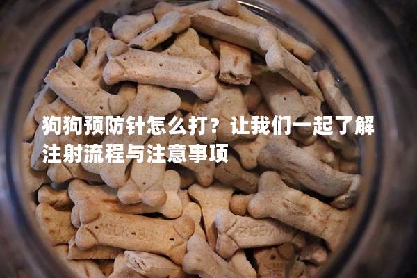 狗狗预防针怎么打？让我们一起了解注射流程与注意事项