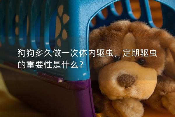 狗狗多久做一次体内驱虫，定期驱虫的重要性是什么？