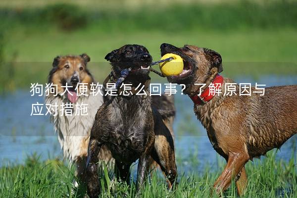 狗狗大便软是怎么回事？了解原因与应对措施