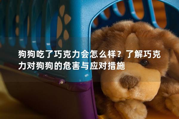 狗狗吃了巧克力会怎么样？了解巧克力对狗狗的危害与应对措施