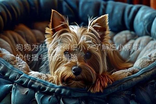 狗狗为什么会得细小？了解细小病毒的传播与预防措施