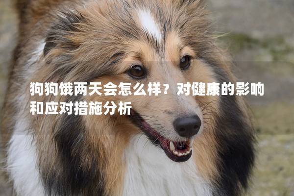 狗狗饿两天会怎么样？对健康的影响和应对措施分析