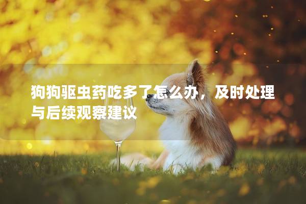 狗狗驱虫药吃多了怎么办，及时处理与后续观察建议