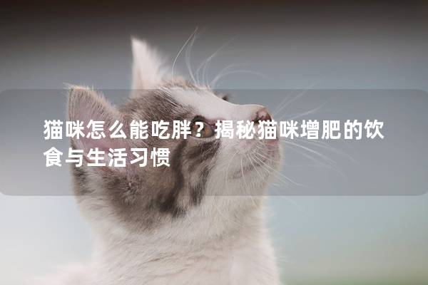猫咪怎么能吃胖？揭秘猫咪增肥的饮食与生活习惯