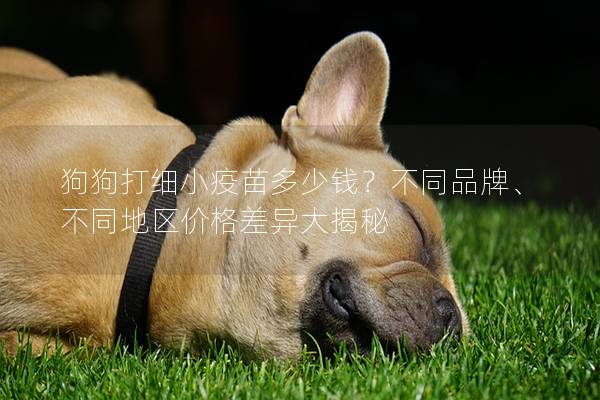 狗狗打细小疫苗多少钱？不同品牌、不同地区价格差异大揭秘