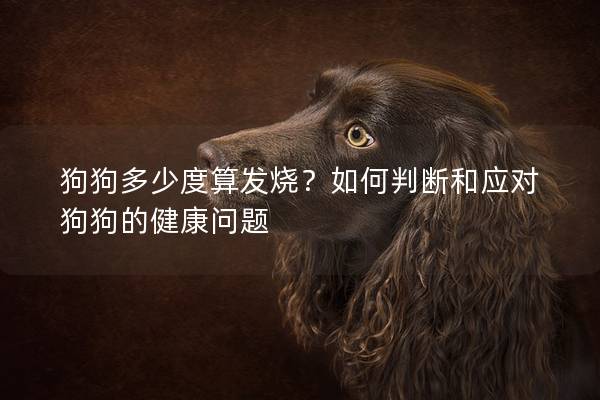 狗狗多少度算发烧？如何判断和应对狗狗的健康问题