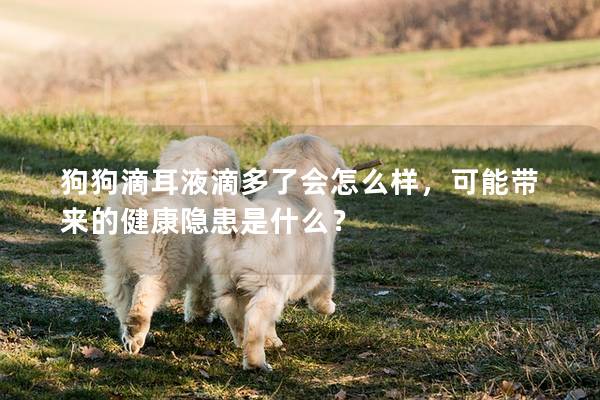 狗狗滴耳液滴多了会怎么样，可能带来的健康隐患是什么？