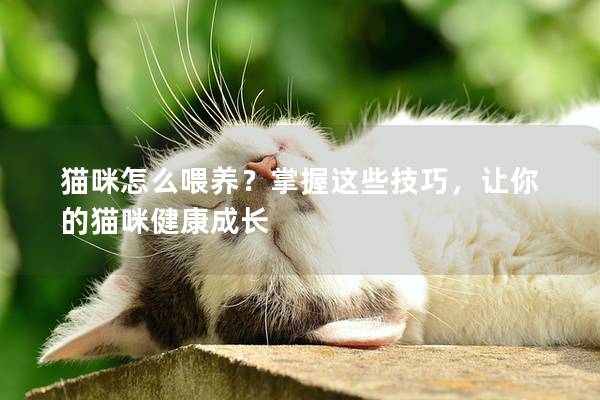 猫咪怎么喂养？掌握这些技巧，让你的猫咪健康成长