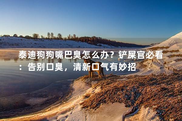 泰迪狗狗嘴巴臭怎么办？铲屎官必看：告别口臭，清新口气有妙招
