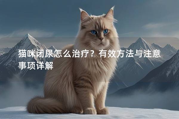猫咪闭尿怎么治疗？有效方法与注意事项详解