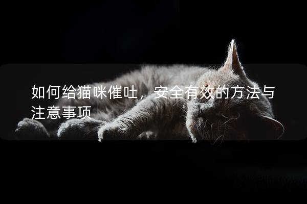 如何给猫咪催吐，安全有效的方法与注意事项