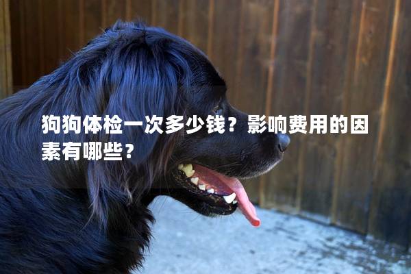 狗狗体检一次多少钱？影响费用的因素有哪些？