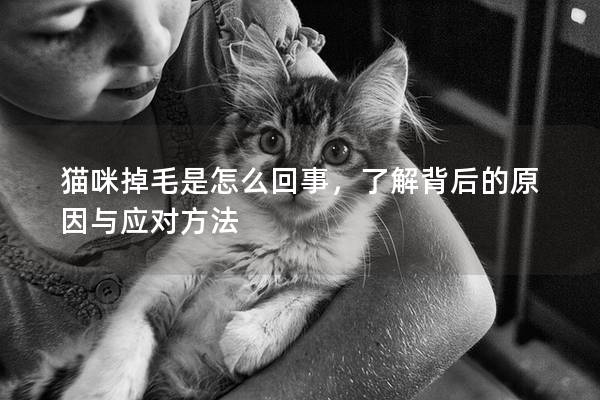 猫咪掉毛是怎么回事，了解背后的原因与应对方法