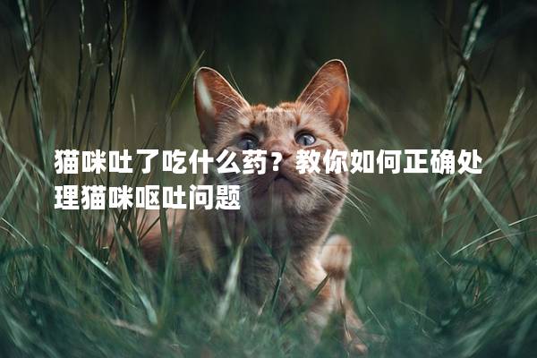 猫咪吐了吃什么药？教你如何正确处理猫咪呕吐问题