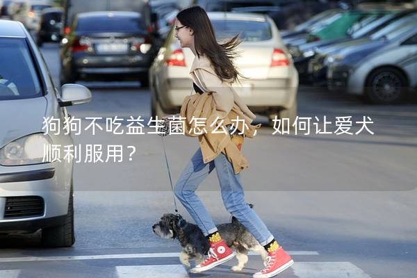 狗狗不吃益生菌怎么办，如何让爱犬顺利服用？