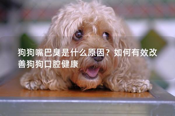 狗狗嘴巴臭是什么原因？如何有效改善狗狗口腔健康