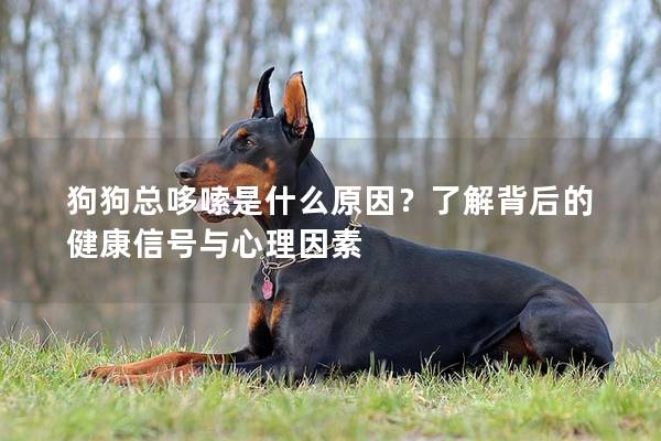 狗狗总哆嗦是什么原因？了解背后的健康信号与心理因素