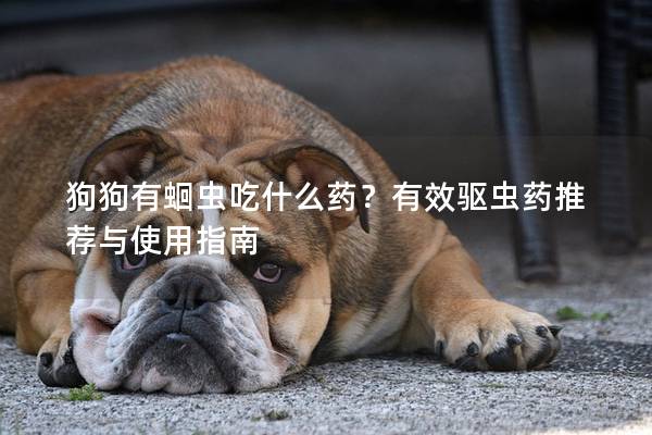 狗狗有蛔虫吃什么药？有效驱虫药推荐与使用指南