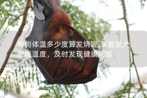狗狗体温多少度算发烧呢,掌握爱犬发烧温度，及时发现健康问题