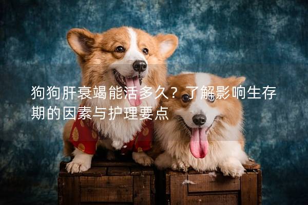 狗狗肝衰竭能活多久？了解影响生存期的因素与护理要点