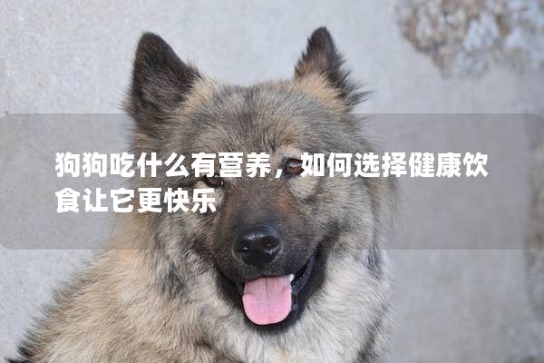 狗狗吃什么有营养，如何选择健康饮食让它更快乐