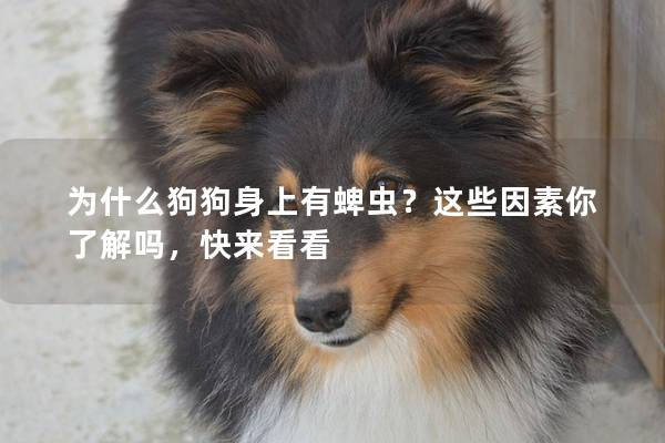 为什么狗狗身上有蜱虫？这些因素你了解吗，快来看看