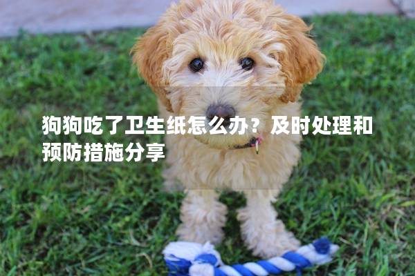 狗狗吃了卫生纸怎么办？及时处理和预防措施分享