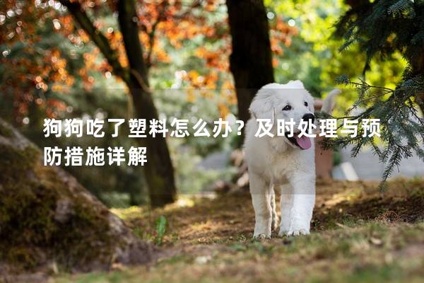 狗狗吃了塑料怎么办？及时处理与预防措施详解