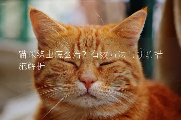 猫咪绦虫怎么治？有效方法与预防措施解析