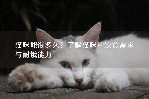 猫咪能饿多久？了解猫咪的饮食需求与耐饿能力