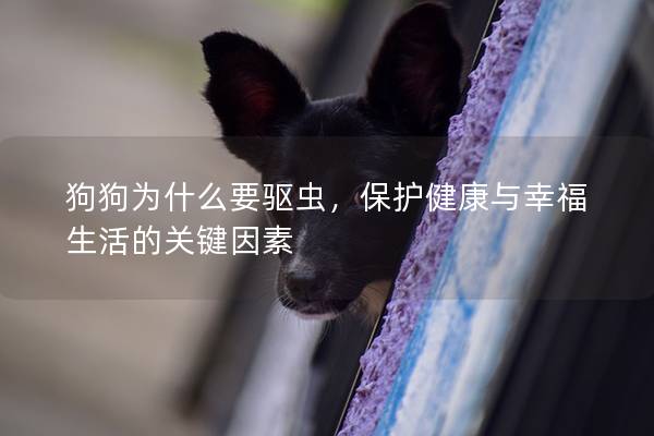 狗狗为什么要驱虫，保护健康与幸福生活的关键因素