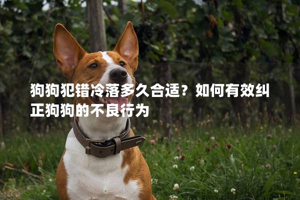 狗狗犯错冷落多久合适？如何有效纠正狗狗的不良行为