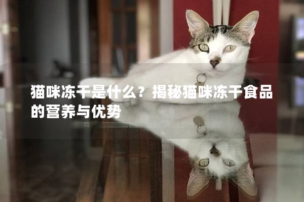 猫咪冻干是什么？揭秘猫咪冻干食品的营养与优势