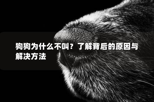 狗狗为什么不叫？了解背后的原因与解决方法