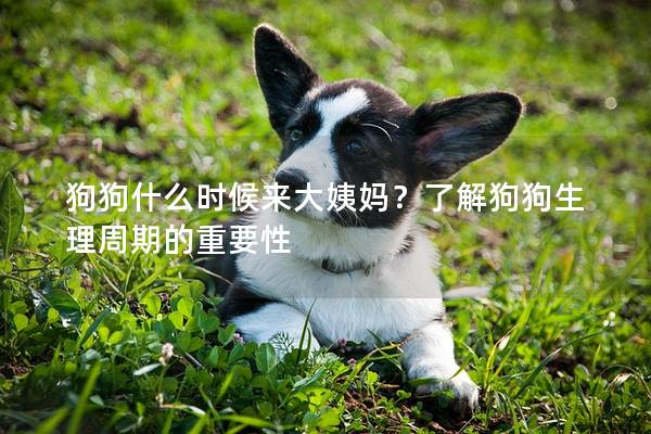狗狗什么时候来大姨妈？了解狗狗生理周期的重要性