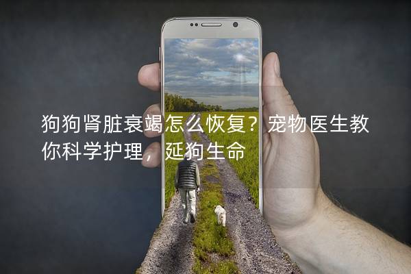 狗狗肾脏衰竭怎么恢复？宠物医生教你科学护理，延狗生命