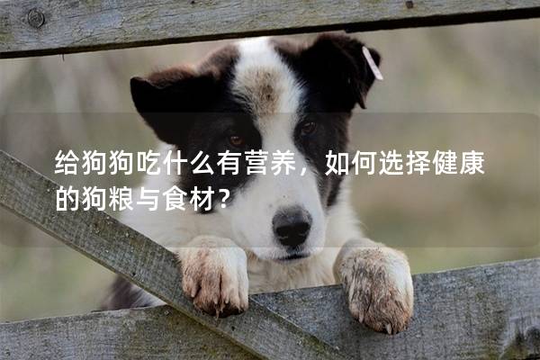 给狗狗吃什么有营养，如何选择健康的狗粮与食材？