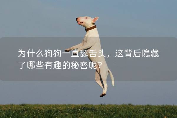 为什么狗狗一直舔舌头，这背后隐藏了哪些有趣的秘密呢？