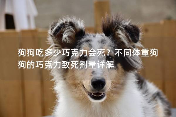 狗狗吃多少巧克力会死？不同体重狗狗的巧克力致死剂量详解