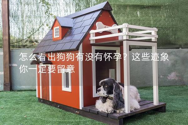 怎么看出狗狗有没有怀孕？这些迹象你一定要留意