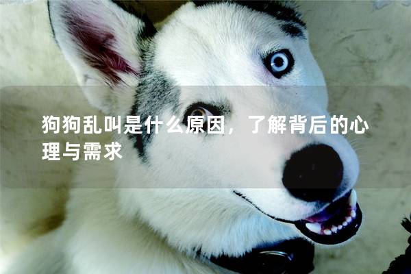 狗狗乱叫是什么原因，了解背后的心理与需求