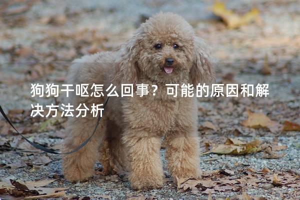 狗狗干呕怎么回事？可能的原因和解决方法分析
