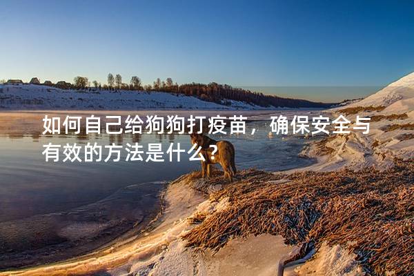 如何自己给狗狗打疫苗，确保安全与有效的方法是什么？