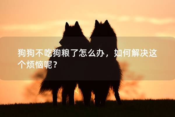 狗狗不吃狗粮了怎么办，如何解决这个烦恼呢？
