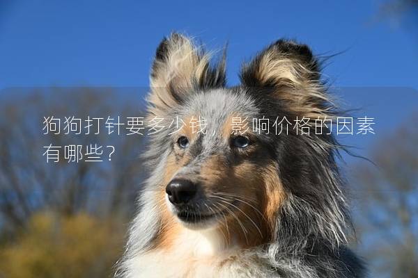 狗狗打针要多少钱，影响价格的因素有哪些？