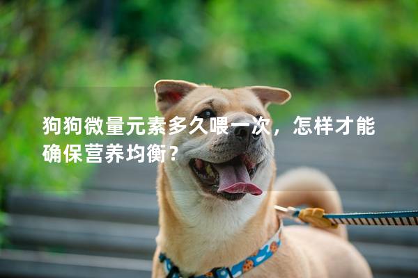 狗狗微量元素多久喂一次，怎样才能确保营养均衡？